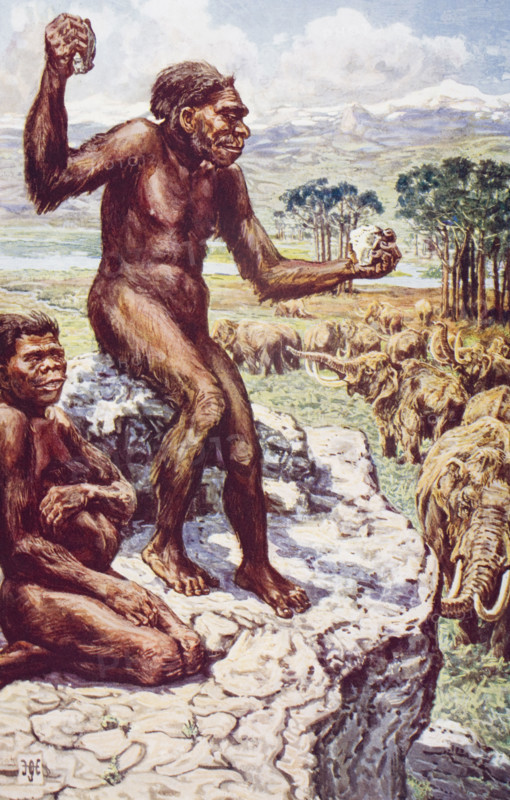 Neanderthal Mankind by H.H.Johnston. From the book The Outline of History Volume 1 by H.G.Wells