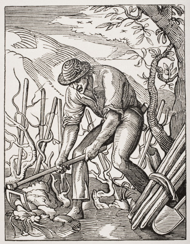 The wine grower. 19th century reproduction of 16th century engraving by Jost Amman.