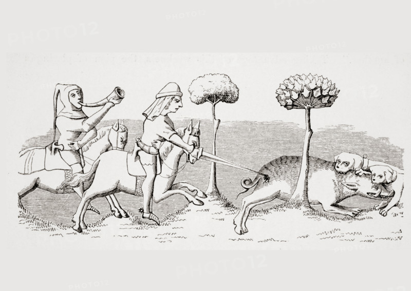 Sport with Dogs.  How the Wild Boar is hunted by means of Dogs. 19th century reproduction of miniature in 14th century manuscript of Livre du Roy Modus.
