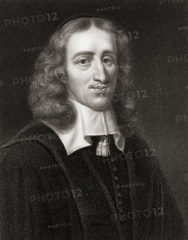 Johan De Witt