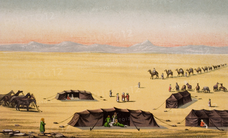 Our Desert Camp