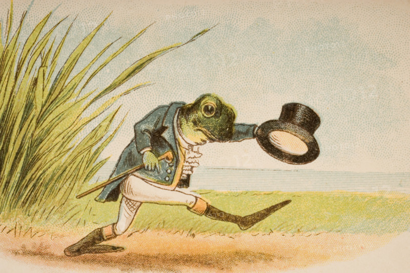 The Frog Who Would A Wooing Go from Old Mother Goose's Rhymes and Tales. Illustrated by Constance Haslewood. Published by Frederick Warne & Co London and New York circa 1890s. Chromolithography by Emrik & Binger of Holland.
