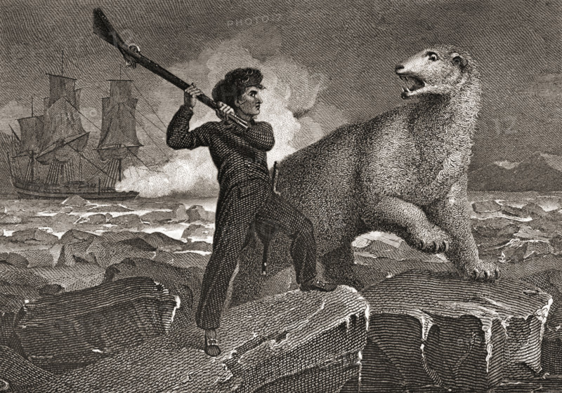 Nelson's Encounter with a Bear. Horatio Nelson