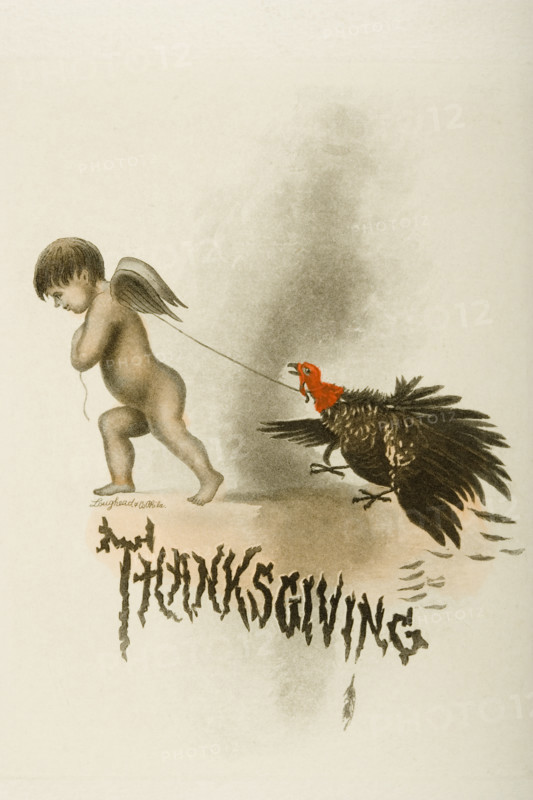 Thanksgiving Day Menu. Cunard West Indies Cruise