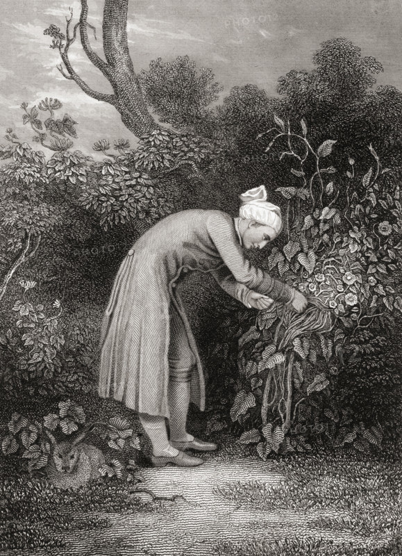 William Cowper