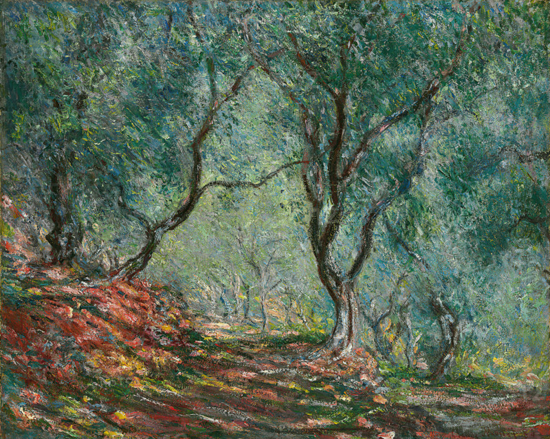 Claude Monet (born Oscar-Claude Monet on November 14, 1840, in Paris; died December 5, 1926) was a significant French painter, a member of the Impressionist movement. Shown here is his work, Olive Trees in the Moreno Garden (1884).