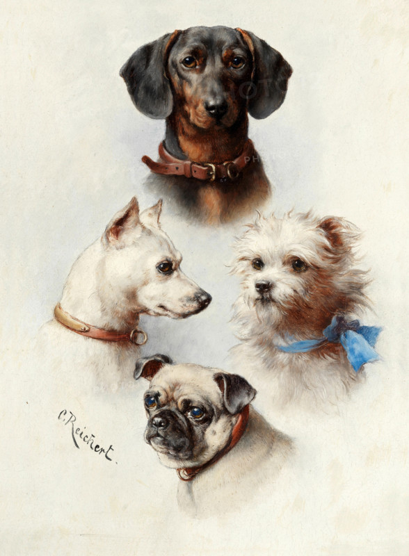 Carl Reichert