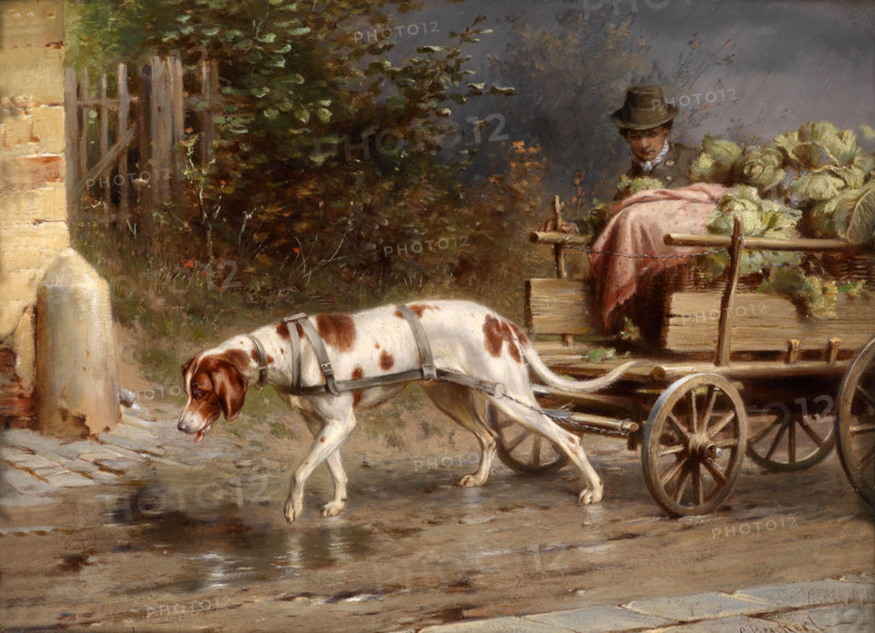 Carl Reichert