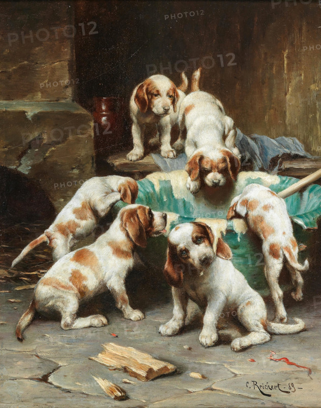 Carl Reichert