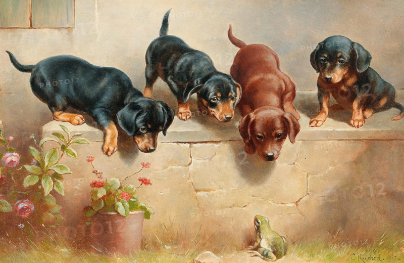 Carl Reichert