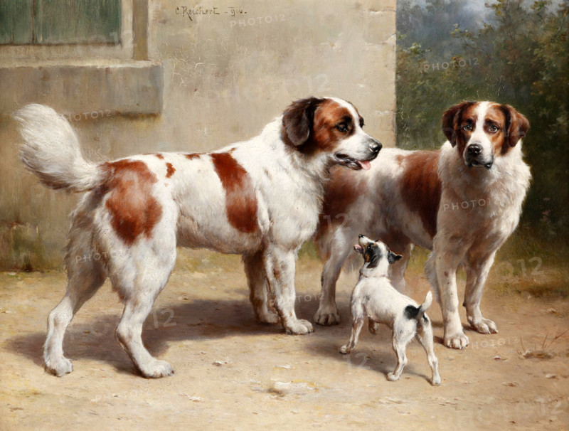 Carl Reichert