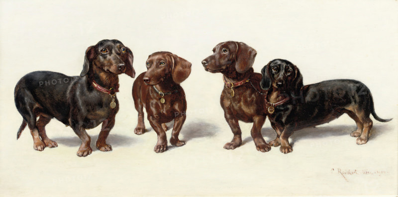 Carl Reichert