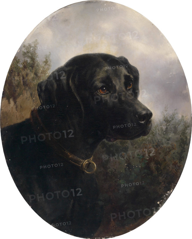 Carl Reichert