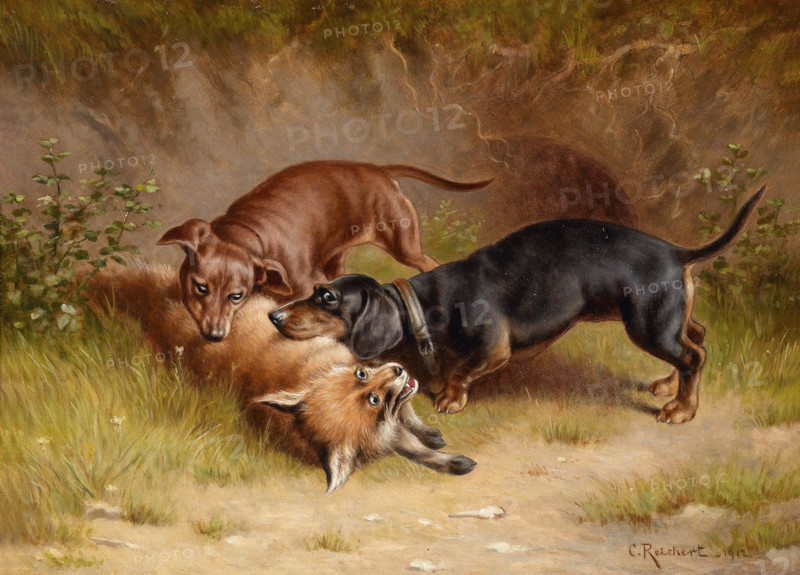 Carl Reichert