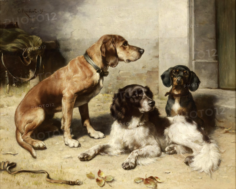 Carl Reichert