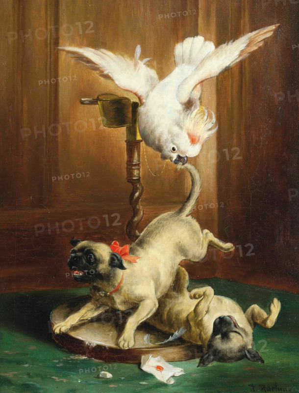 Carl Reichert