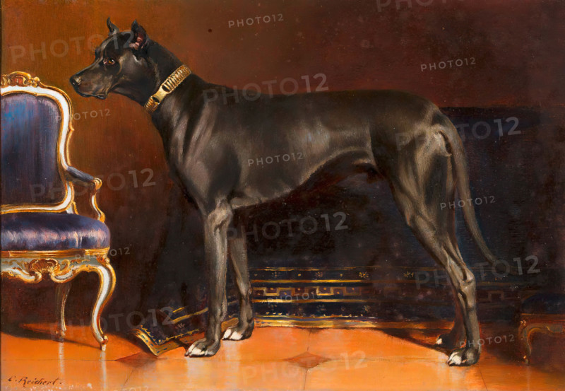 Carl Reichert