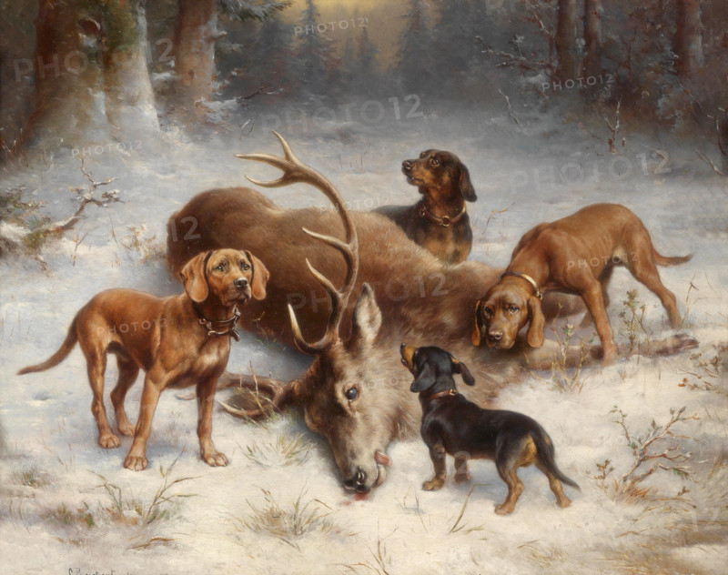 Carl Reichert