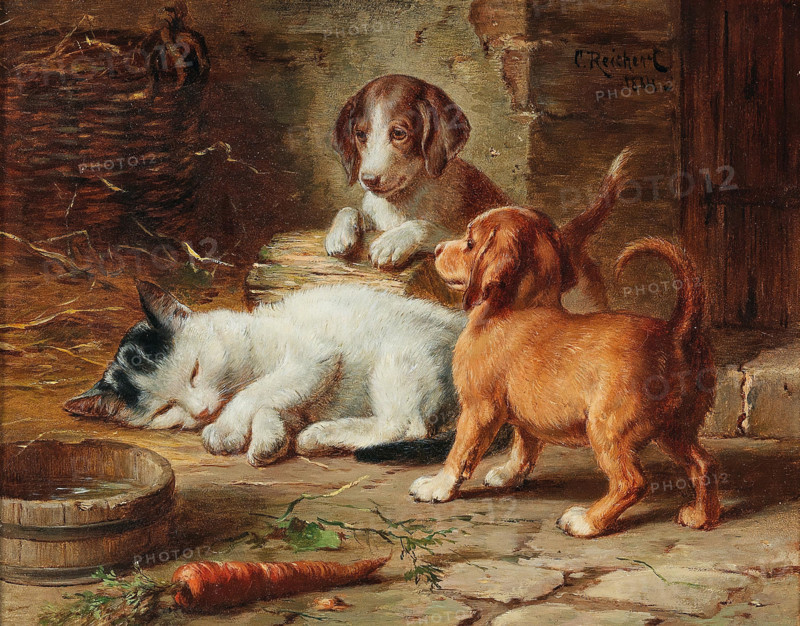 Carl Reichert, Karl Reichert, pseudonym J. Hartung (born August 27, 1836 in Vienna; died April 5, 1918 in Graz). Austrian painter, primarily a landscape and animal painter. His work includes: The Puppies Are Awake (1884), depicting two young dogs watching a sleeping black and white cat in a rural setting. [Image caption: Painting, reproduction of the painting, artwork, historical].