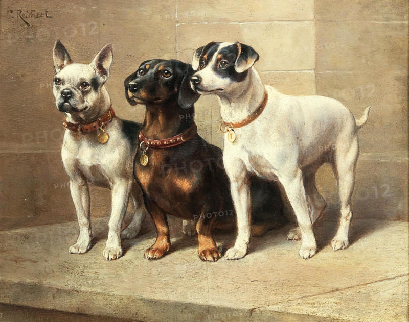 Carl Reichert