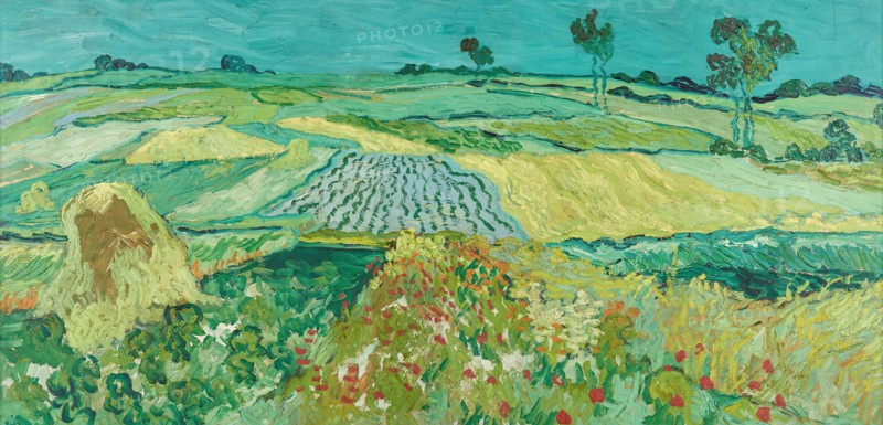 The Plain of Auvers (1890)