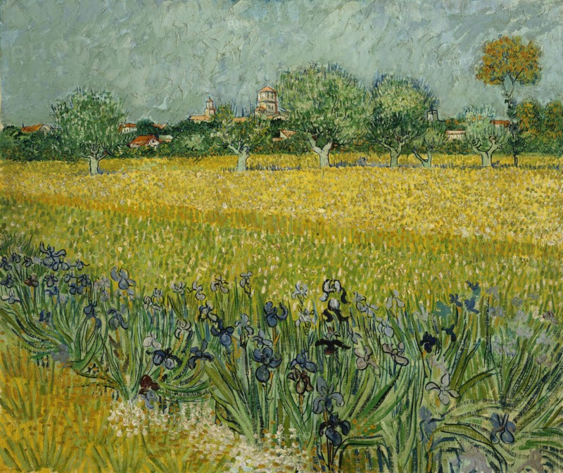 Field with flowers near Arles (1888)