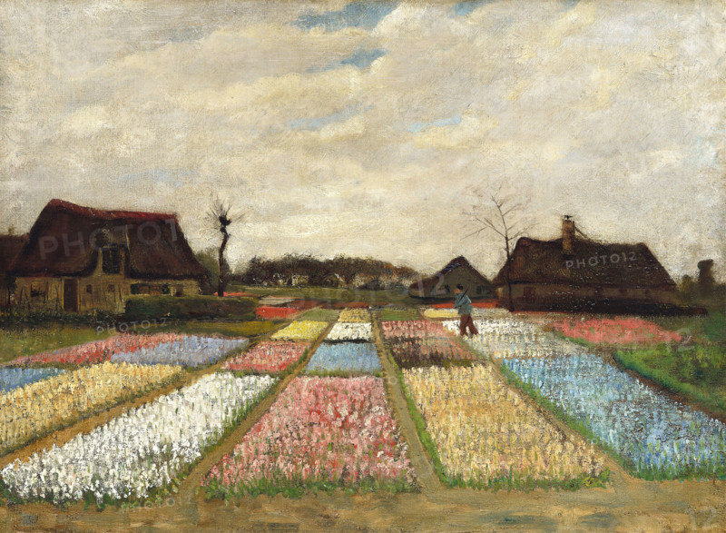 Flower Beds in Holland (c. 1883), a painting by Vincent Willem van Gogh (born March 30, 1853, in Groot-Zundert; died July 29, 1890, in Auvers-sur-Oise), Dutch painter and draftsman, one of the founders of modern painting. Illustration, reproduction of a painting. Authentic, exact date of the original unknown. Historical.