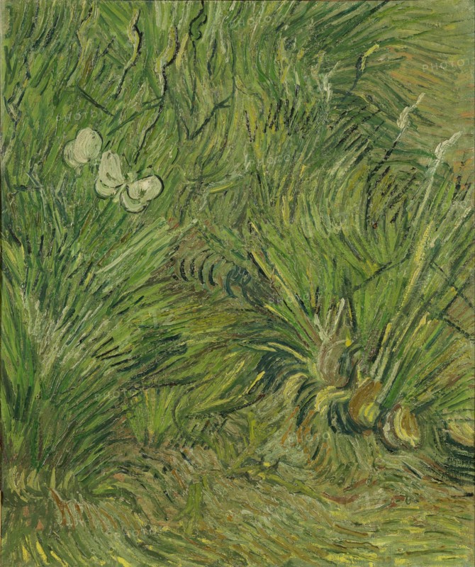 Garden with Butterflies (1889)
