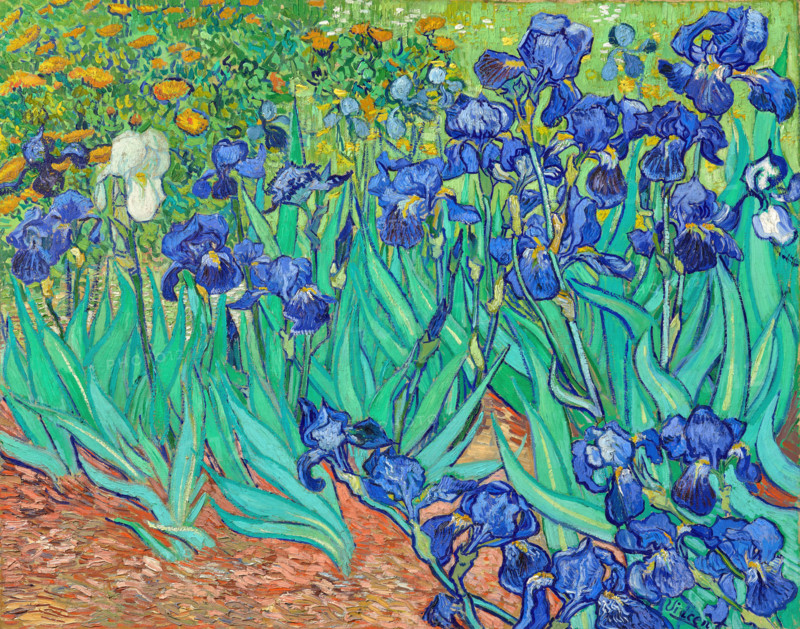 Irises (1889), painting by Vincent Willem van Gogh (born March 30, 1853 in Groot-Zundert, died July 29, 1890 in Auvers-sur-Oise), Dutch painter and draftsman, one of the founders of modern painting. Illustration, reproduction of a painting. Authentic, exact date of the original unknown, historical.