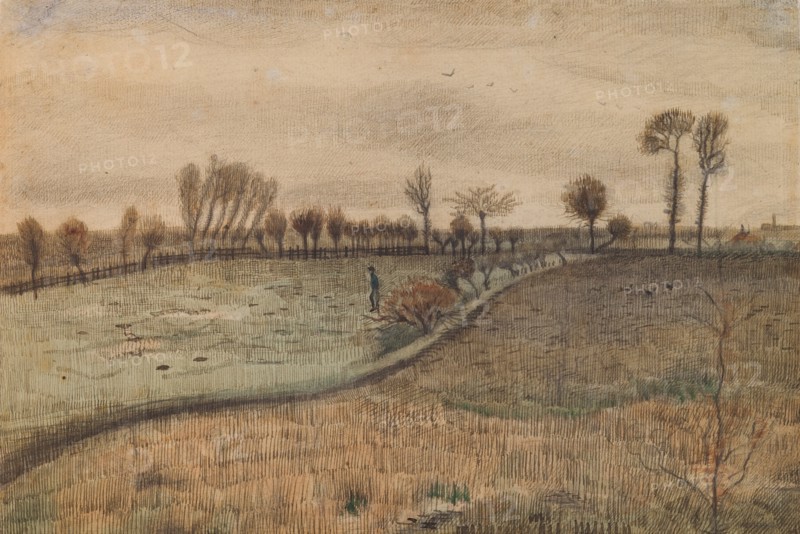 Landscape with Pollard Willows (c. 1880)