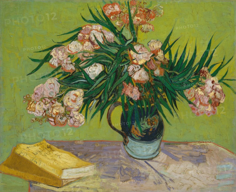 Oleanders (1888)