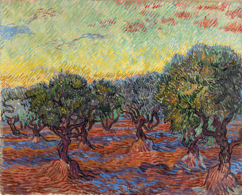 Olive Grove, Saint-REmy (1889), Olive Grove, painting by Vincent Willem van Gogh (born March 30, 1853 in Groot-Zundert, died July 29, 1890 in Auvers-sur-Oise), Dutch painter and draftsman, one of the founders of modern painting, illustration, reproduction of a painting. Authentic, exact date of the original unknown, historical.