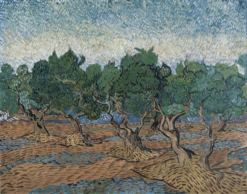 Olive Grove