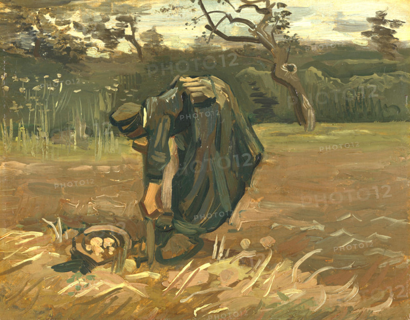 Peasant Woman Digging Potatoes (1885), a painting by Vincent Willem van Gogh (born March 30, 1853, in Groot-Zundert; died July 29, 1890, in Auvers-sur-Oise), a Dutch painter and draftsman, one of the founders of modern painting. Illustration, reproduction of a painting. Authentic, exact date of the original unknown, historical.