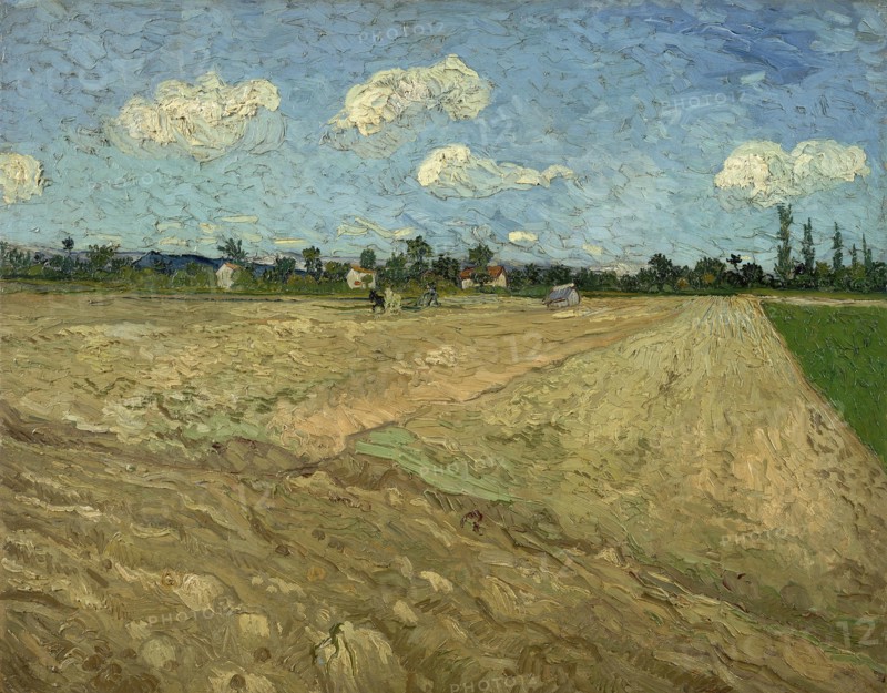 Plowed Fields