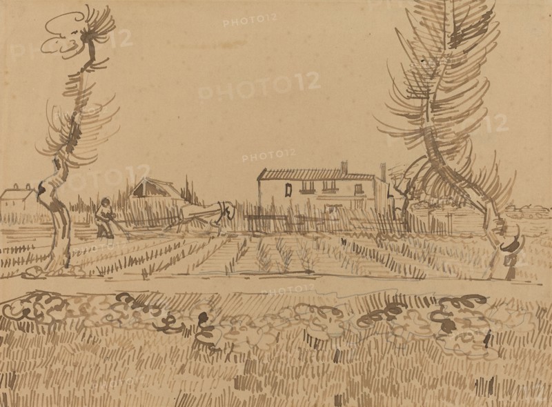Plowman in the Fields near Arles (1888)