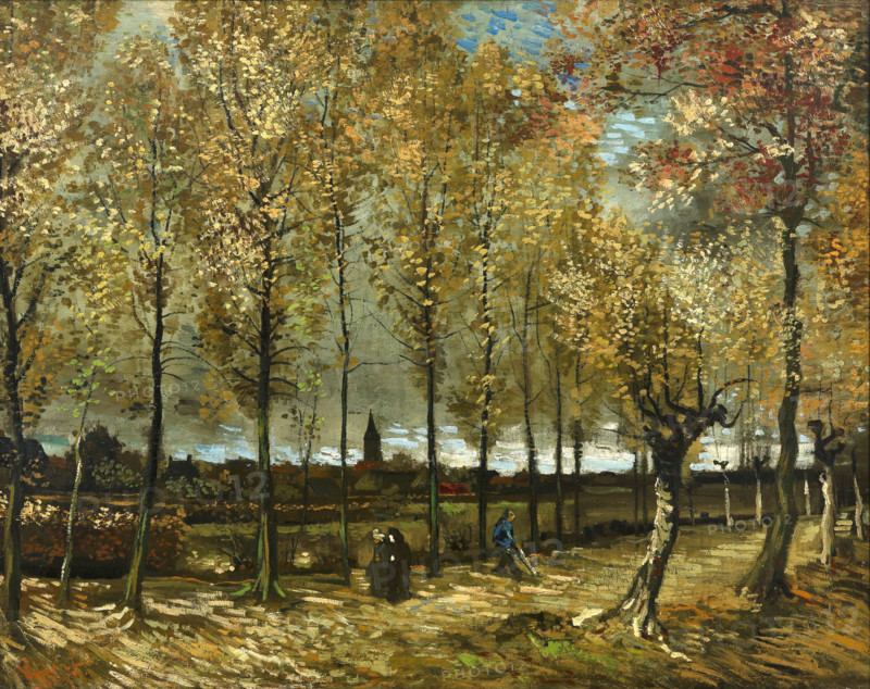 Poplars near Nuenen (1885), a painting by Vincent Willem van Gogh (born March 30, 1853, in Groot-Zundert; died July 29, 1890, in Auvers-sur-Oise), Dutch painter and draftsman, one of the founders of modern painting. Illustration, reproduction of a painting. Authentic, exact date of the original unknown. Historical.