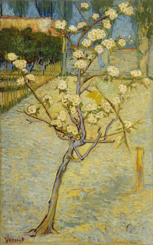 Small pear tree in blossom (1888), painting by Vincent Willem van Gogh (born March 30, 1853 in Groot-Zundert, died July 29, 1890 in Auvers-sur-Oise), Dutch painter and draftsman, one of the founders of modern painting. Illustration, reproduction of a painting. Authentic, exact date of the original unknown, historical.