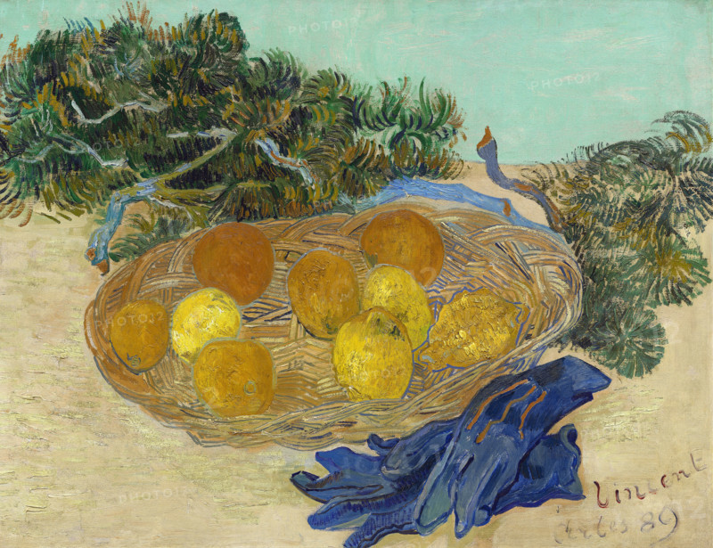 Still Life of Oranges and Lemons with Blue Gloves (1889), a painting by Vincent Willem van Gogh (born March 30, 1853, in Groot-Zundert; died July 29, 1890, in Auvers-sur-Oise), a Dutch painter and draftsman, one of the founders of modern painting. Illustration, reproduction of a painting. Authentic, exact date of the original unknown, historical.