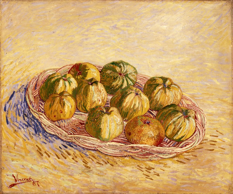 Still Life