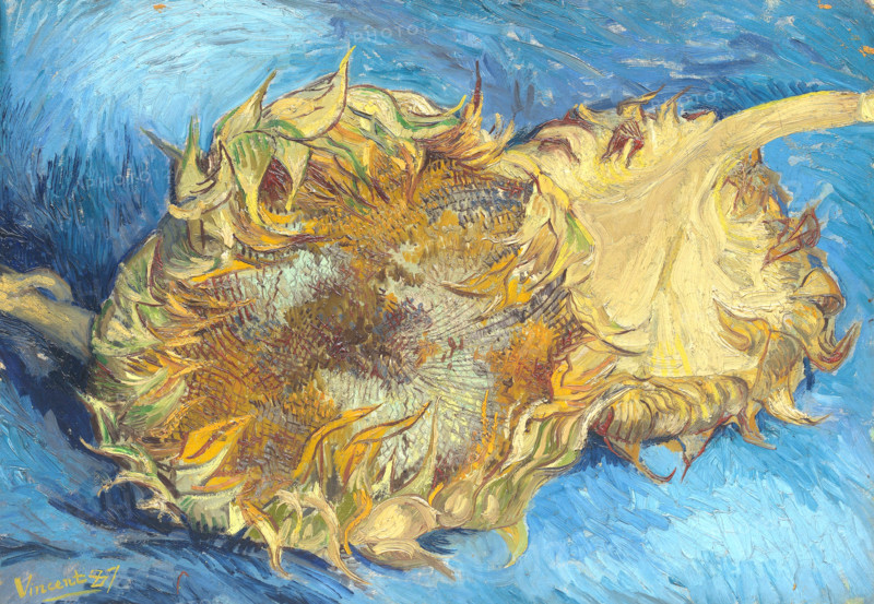 Sunflowers (1887)