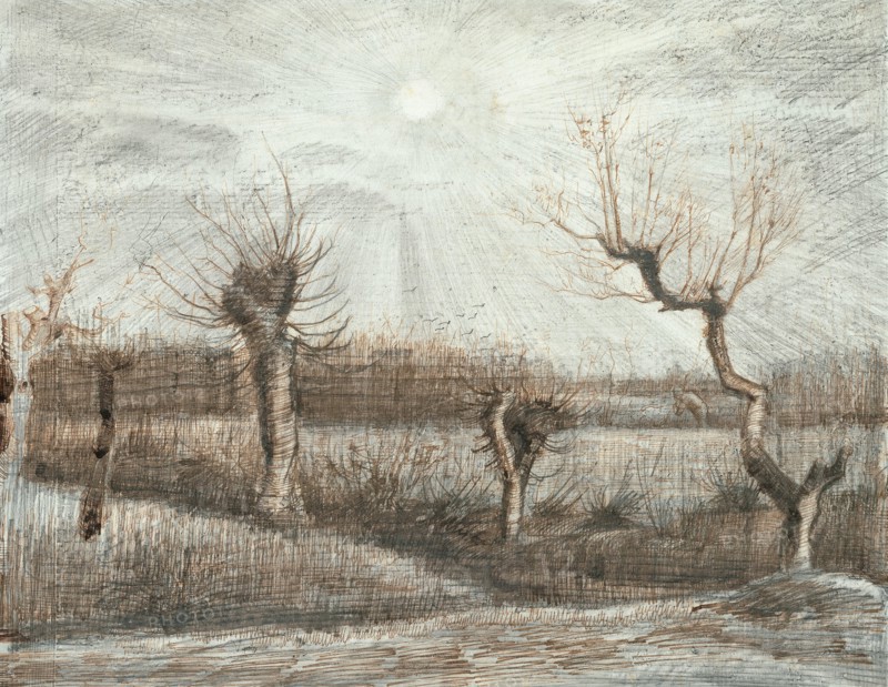 Pollards (1884)