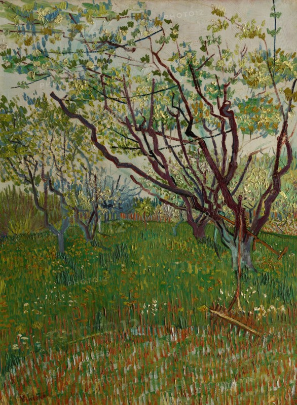 The Flowering Orchard (1888)