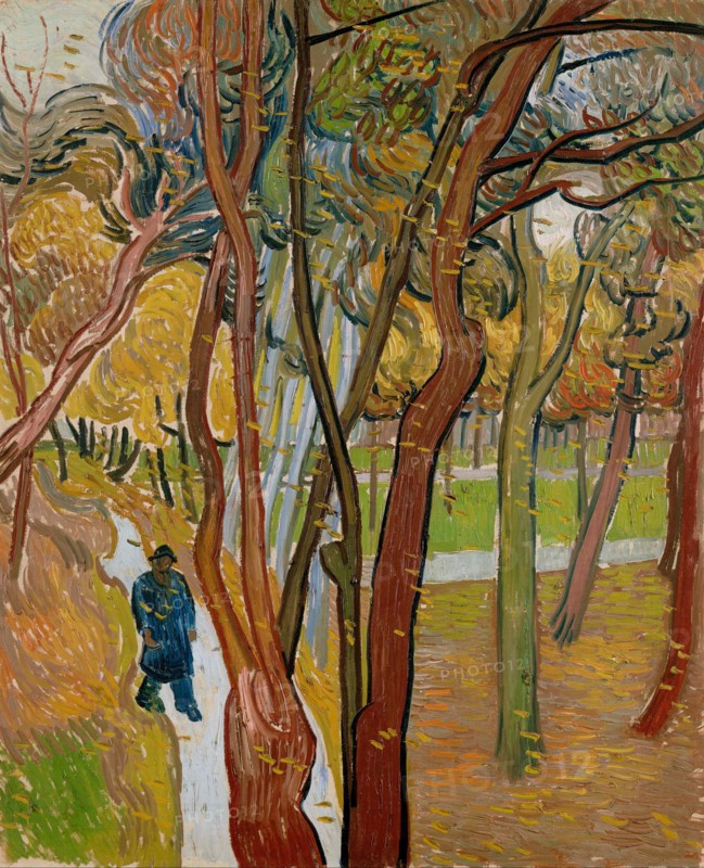 The Garden of Saint Pauls Hospital (The Fall of the Leaves)