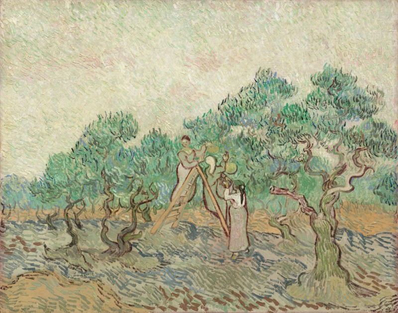 The Olive Orchard (1889)