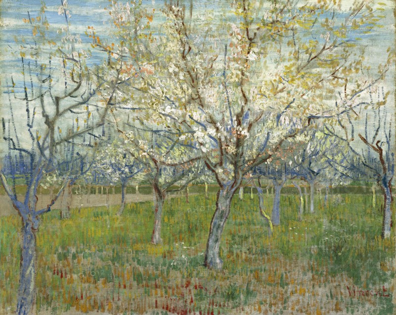 The Pink Orchard (1888)