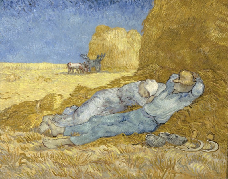 The Siesta
