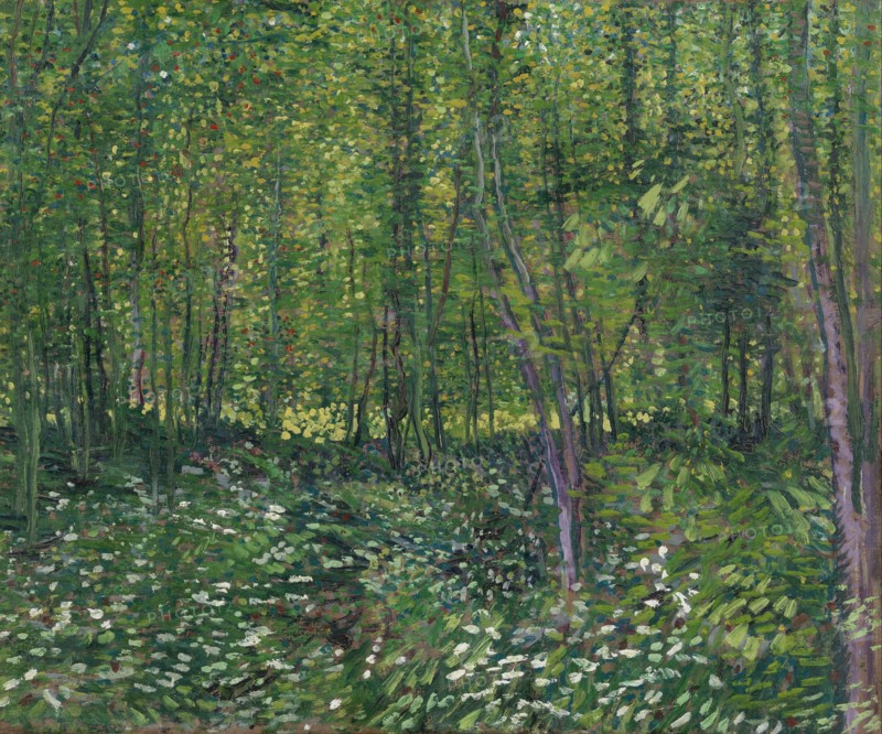 Trees and Undergrowth (1887)