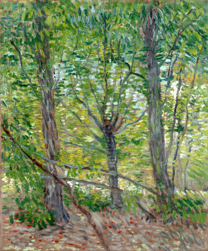 Trees