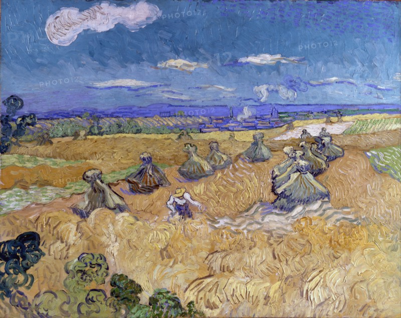 Wheat Fields with Reaper